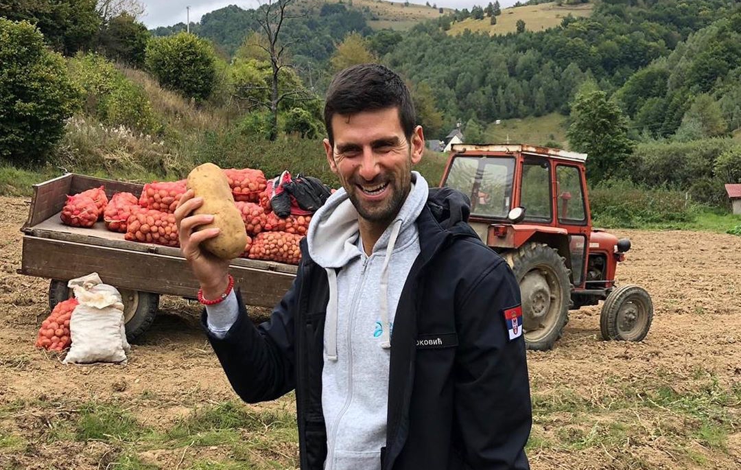 Джокович събира картофи със свои сънародници в Сърбия (снимки)