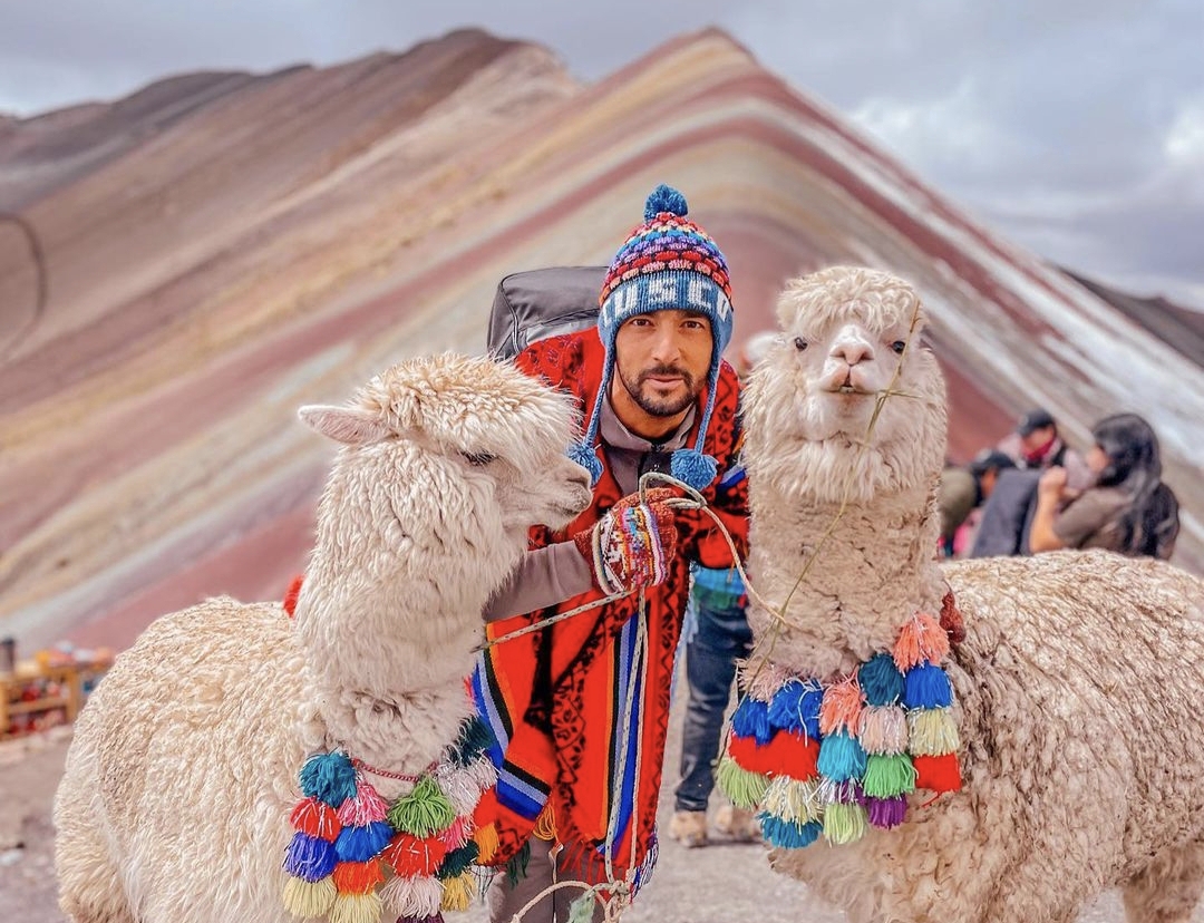 Заслужена почивка: Димитър Кузманов и алпаките в Перу